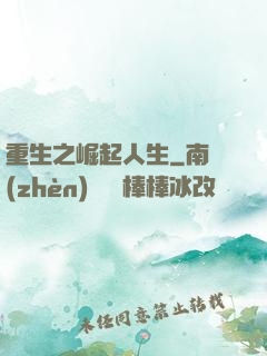 重生之崛起人生